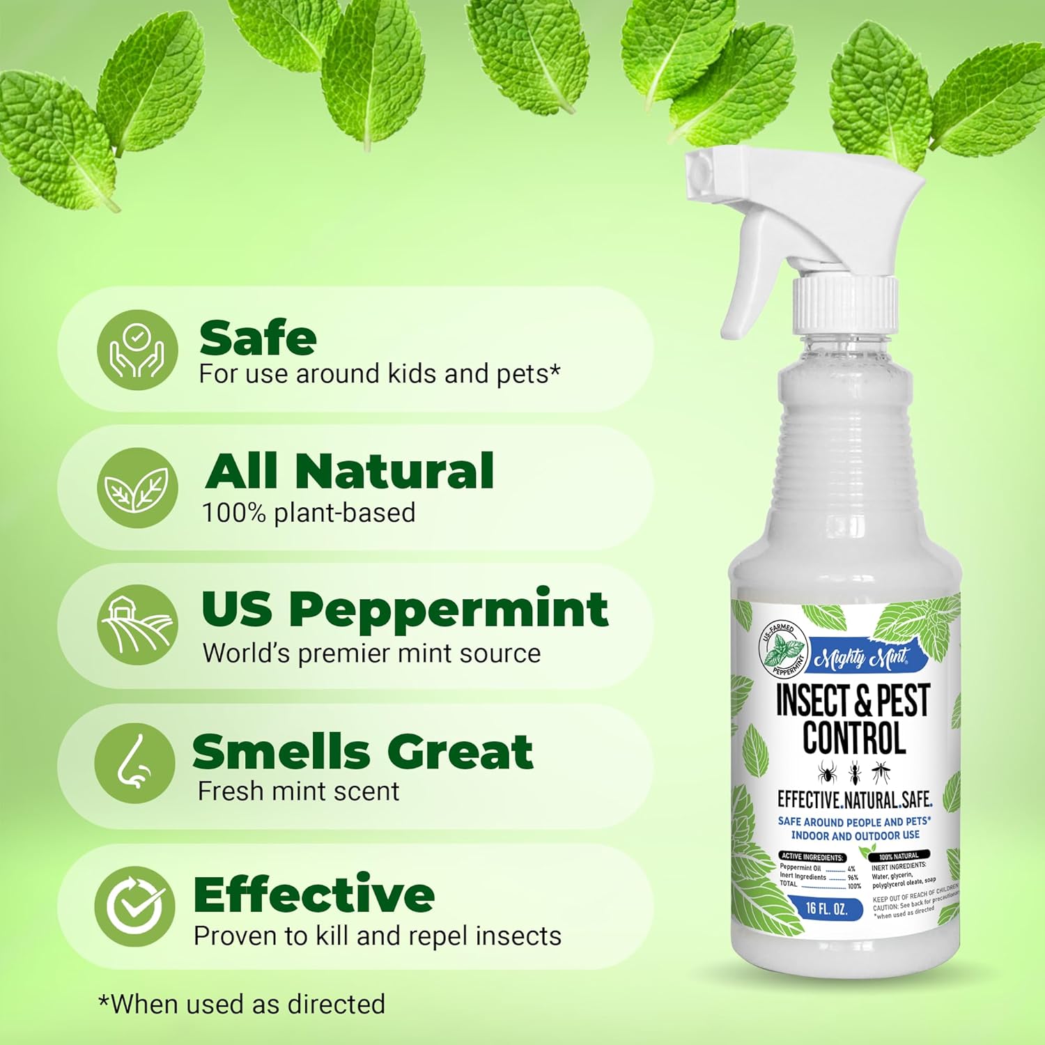 Indoor use of Mighty Mint insect control spraySpraying Mighty Mint around a window or door frame