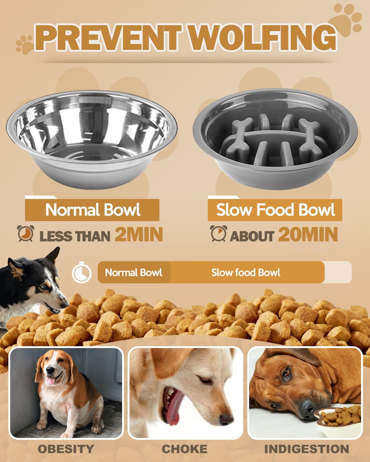 Premium stainless steel dog bowls showing rust-resistant construction and easy-clean surface