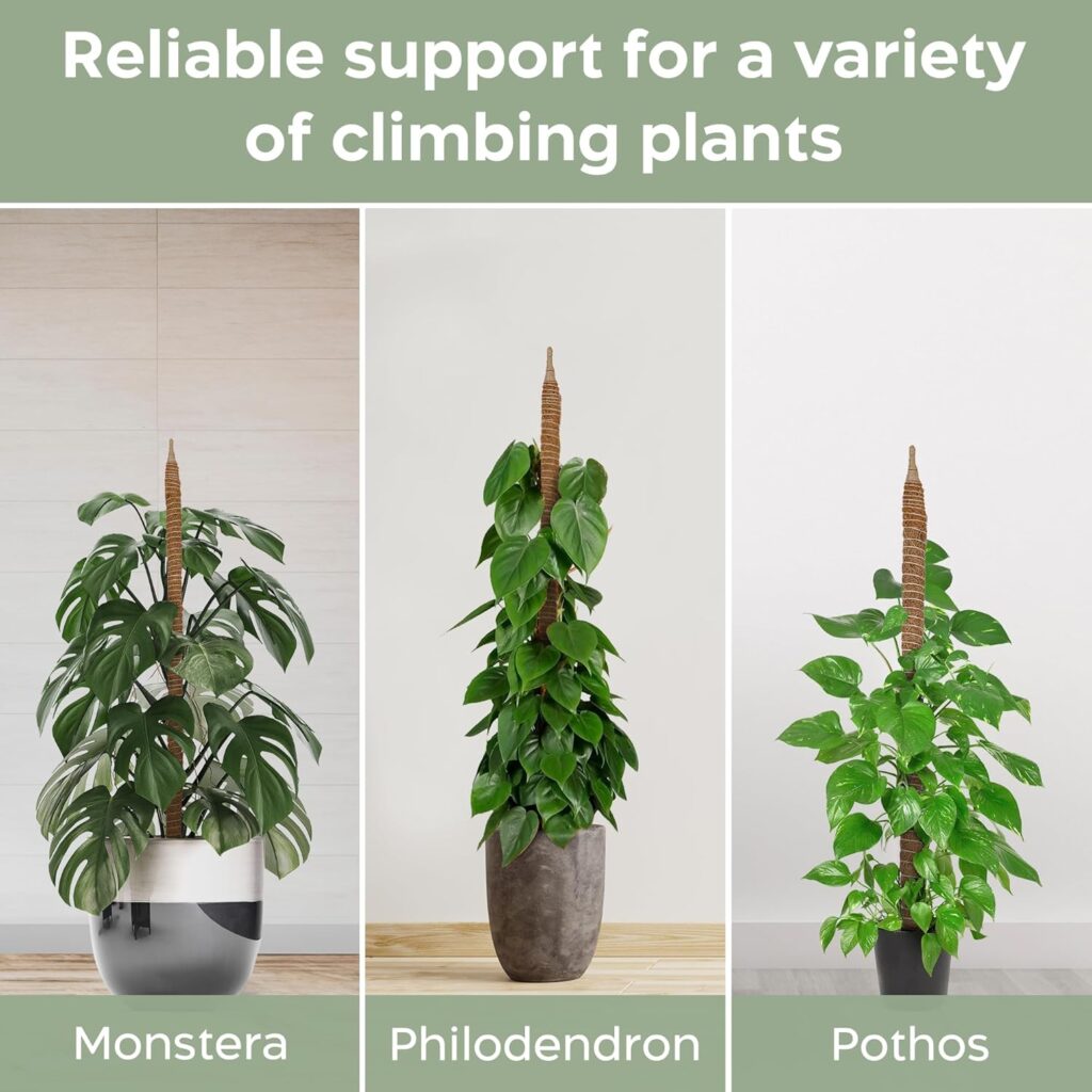 K-Brands moss pole 28 inch bendable monstera plant support