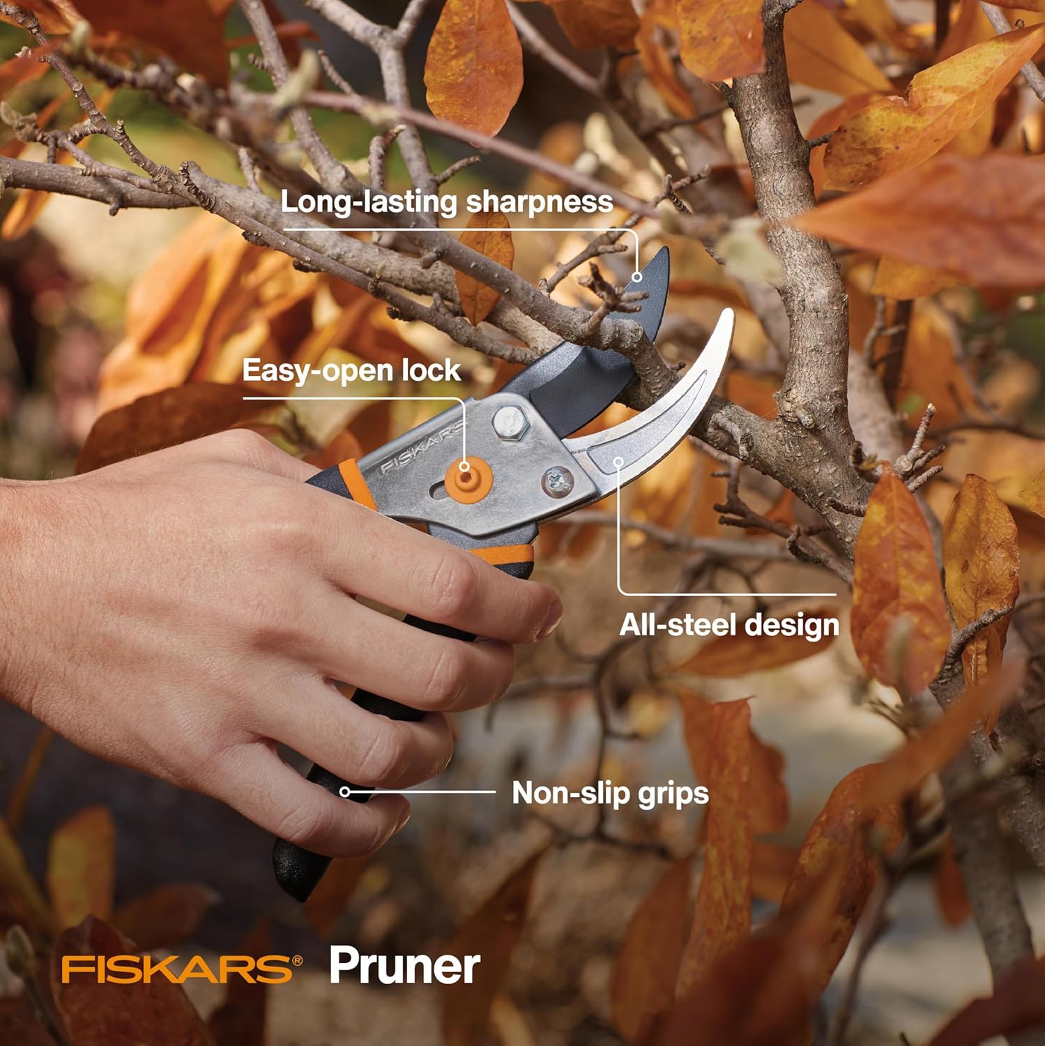 Comparison of clean cut from Fiskars shears vs dull pruners