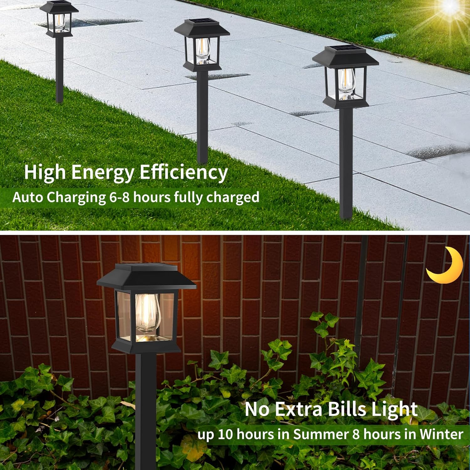 LED solar pathway lights illuminating garden walkway at night with auto on off sensor