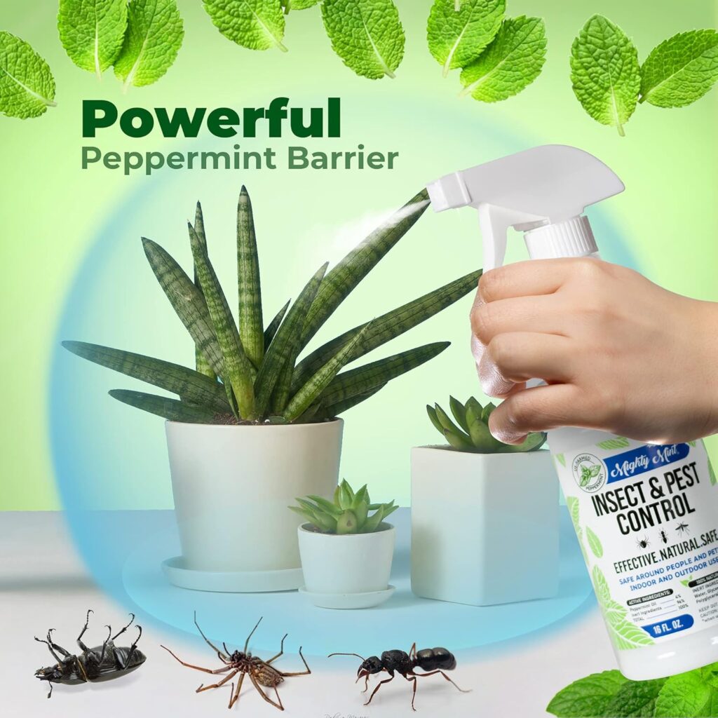Mighty Mint Peppermint Oil Review: Natural Bug Spray Works (2025)?